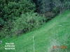 July 05
